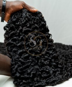 Sdd Chinese Burmese curl natural colour