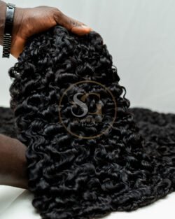 Sdd Chinese Burmese curl natural colour