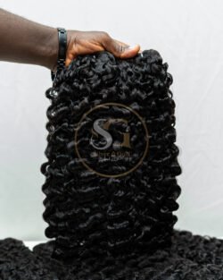 Burmese Curl
